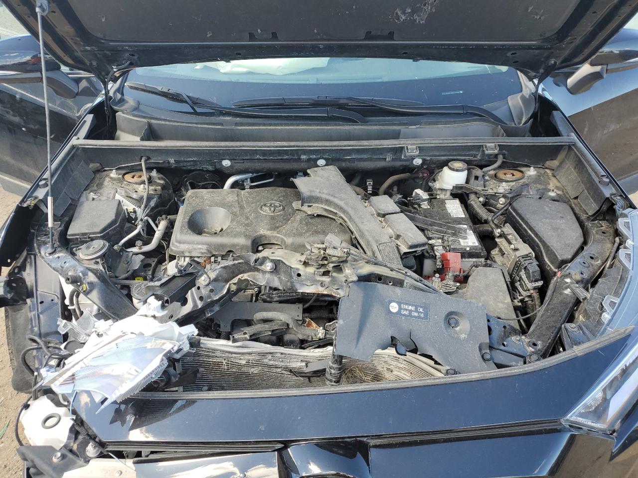 2T3A1RFV9MC169848 Toyota RAV4 XLE P
