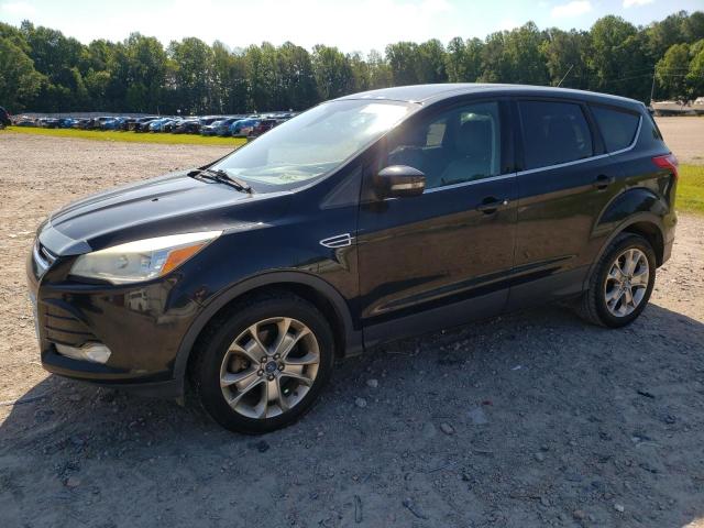 Auction sale of the 2013 Ford Escape Sel, vin: 00000000000000000, lot number: 58517884