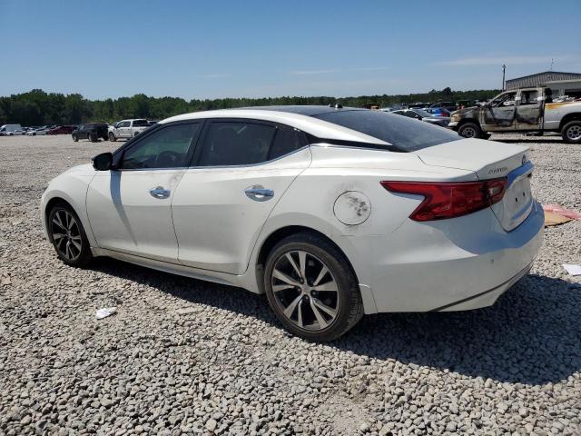1N4AA6AP5JC388655 Nissan MAXIMA 3.5