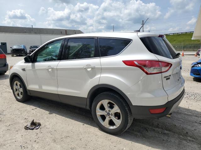 1FMCU0GX9EUB94639 Ford ESCAPE SE