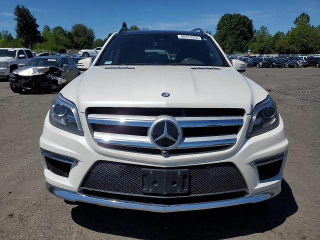 4JGDF7DE5FA446769 Mercedes-Benz Gl 550 4matic