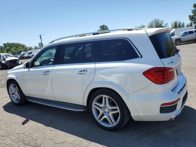 4JGDF7DE5FA446769 Mercedes-Benz Gl 550 4matic