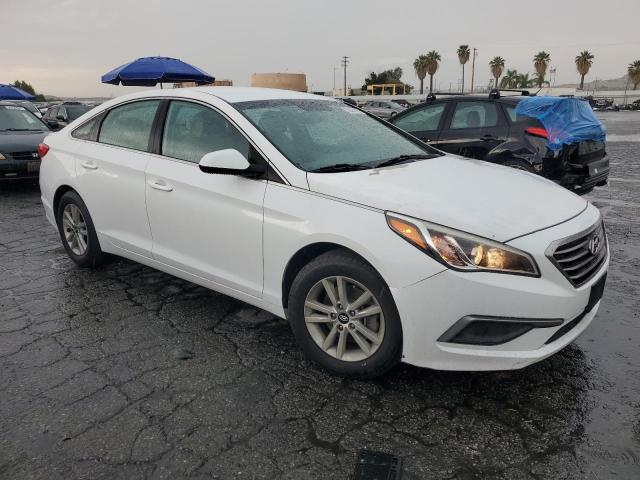 5NPE24AF8GH268480 Hyundai SONATA SE