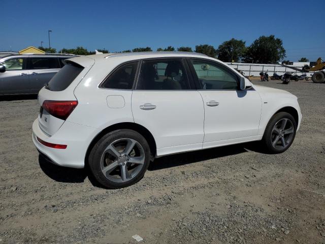 WA1D7AFP9GA143695 Audi Q5
