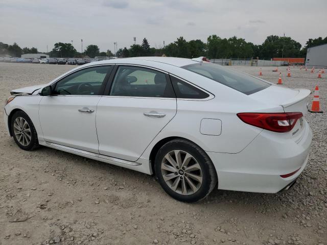 5NPE34AF6HH589402 Hyundai SONATA SPO