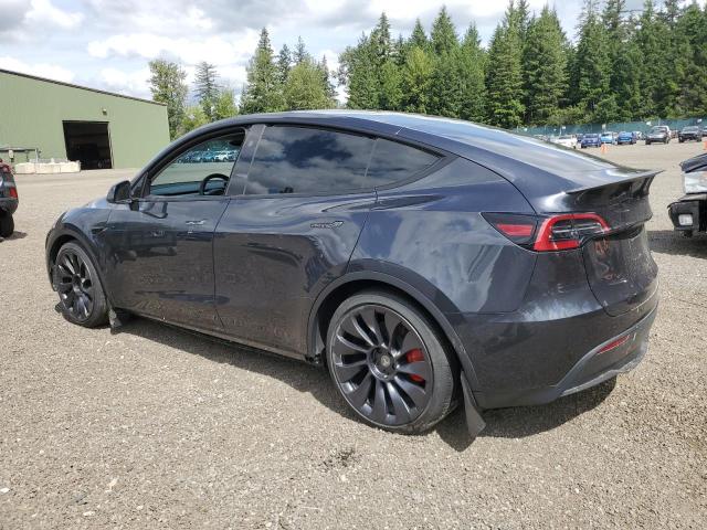 7SAYGDEF7RF089358 Tesla 2024