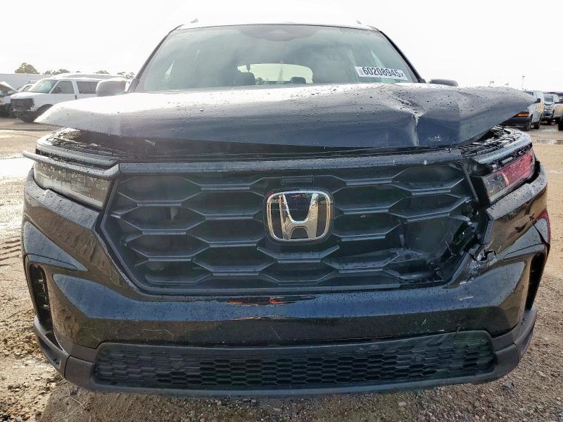 5FNYG2H39RB011702 Honda PILOT SPOR