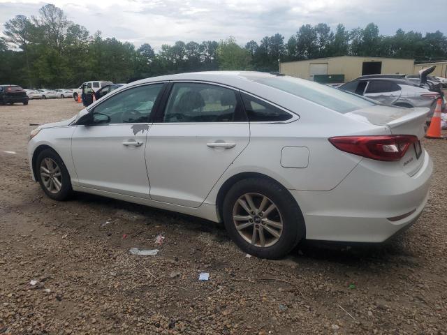 5NPE24AF2GH400181 Hyundai SONATA SE