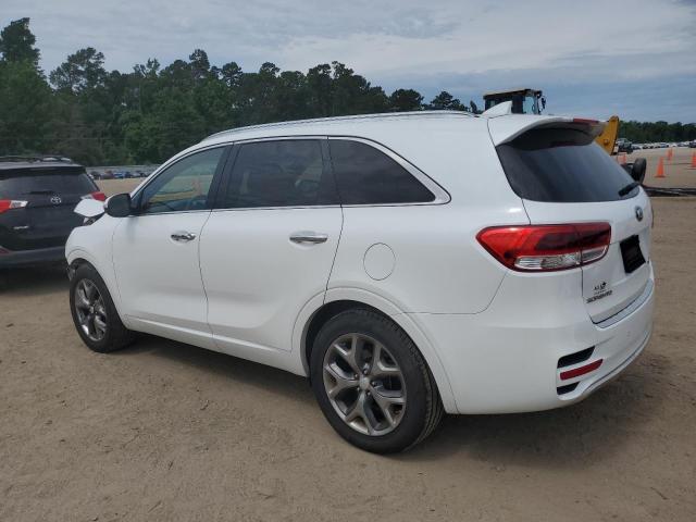 5XYPK4A12GG116456 KIA SORENTO SX
