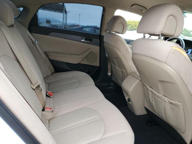 5NPE24AF5HH559570 Hyundai Sonata