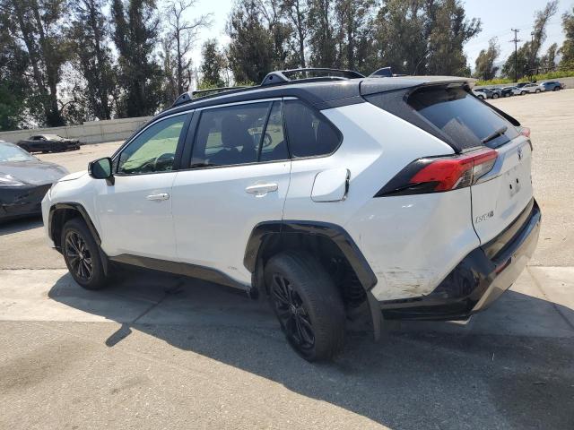 JTME6RFV5RD566897 Toyota RAV4 XSE