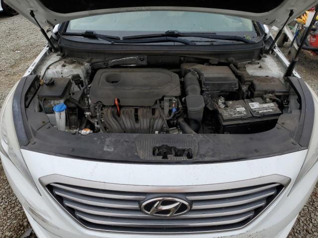 5NPE24AF5HH559570 Hyundai Sonata