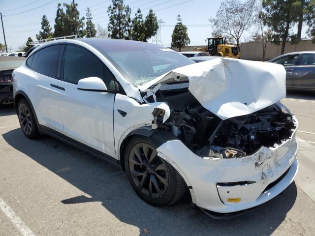 5YJXCBE56MF326365 Tesla 2021