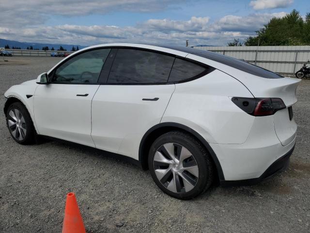 5YJYGDEE4MF239617 Tesla 2021