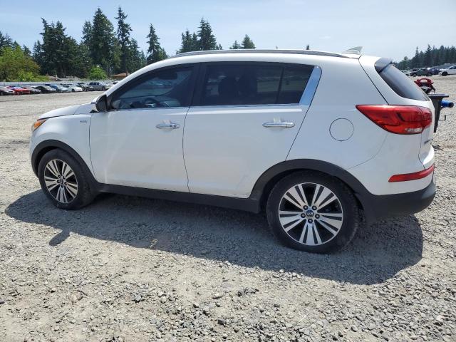 KNDPCCAC6G7839412 KIA SPORTAGE E