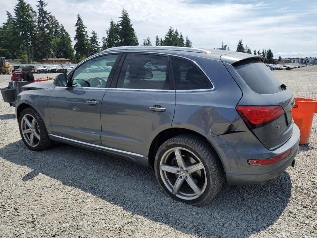 WA1CMAFP2FA032411 Audi Q5