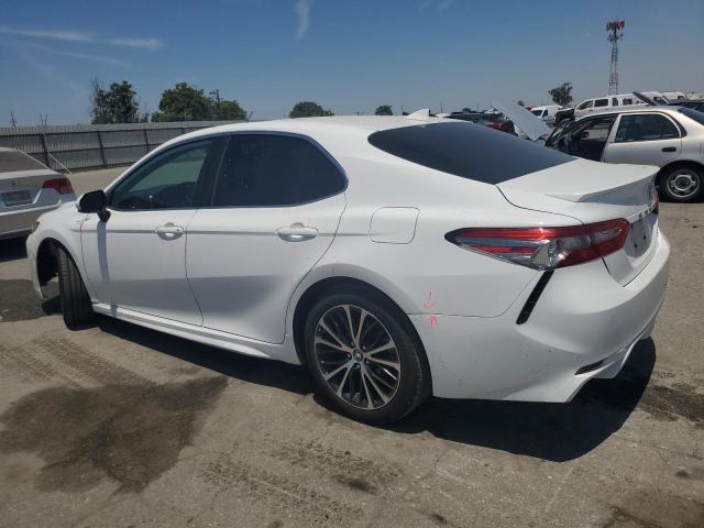 4T1B11HK6KU788095 Toyota CAMRY L