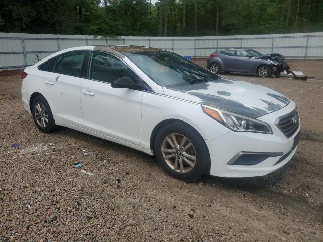 5NPE24AF2GH400181 Hyundai SONATA SE