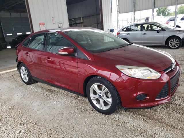 1FADP3F22EL431216 Ford 2014