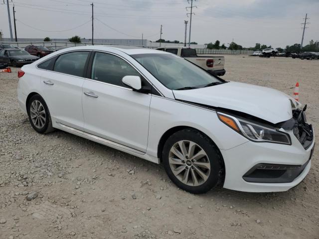 5NPE34AF6HH589402 Hyundai SONATA SPO