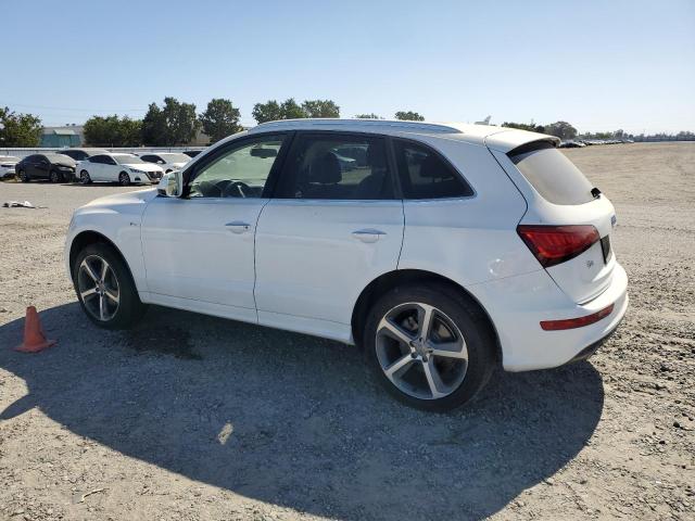 WA1D7AFP9GA143695 Audi Q5