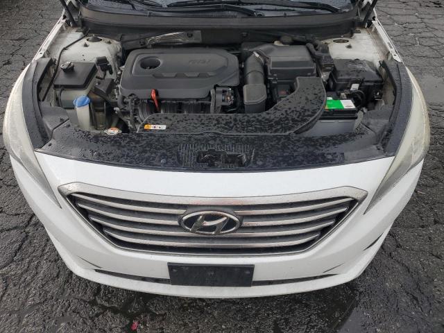 5NPE24AF8GH268480 Hyundai SONATA SE