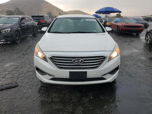 5NPE24AF8GH268480 Hyundai SONATA SE