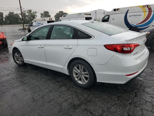 5NPE24AF8GH268480 Hyundai SONATA SE
