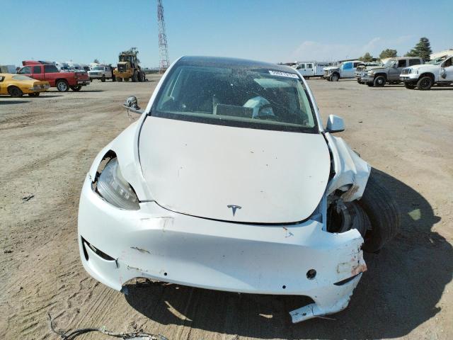 5YJYGDEE6MF079269 Tesla Model Y