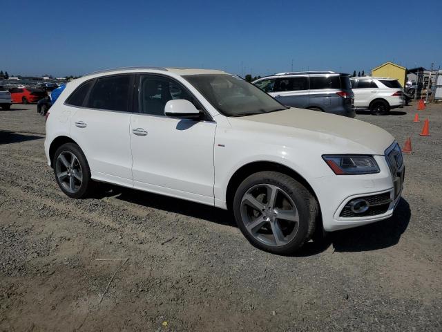 WA1D7AFP9GA143695 Audi Q5