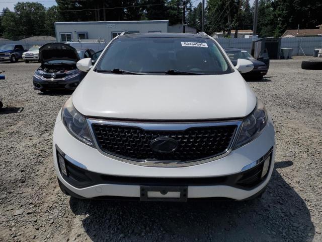 KNDPCCAC6G7839412 KIA SPORTAGE E