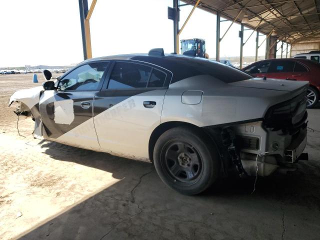 2C3CDXAT1MH588242 Dodge 2021