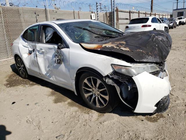 19UUB1F31GA010044 Acura TLX