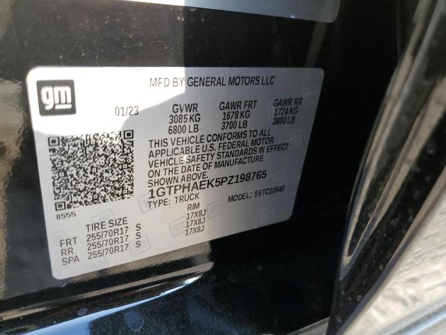 1GTPHAEK5PZ198765 GMC Sierra C1500