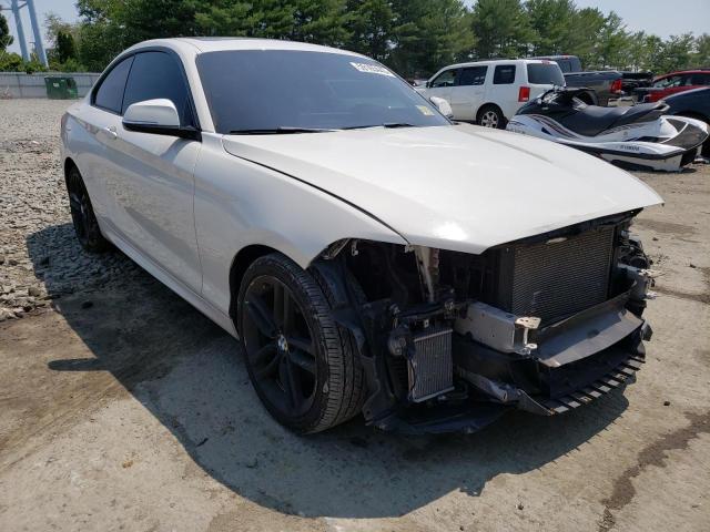 WBA1G9C50GV599178 BMW 228 Xi Sulev