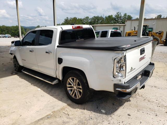 1GTG5DE30G1102090 GMC CANYON SLT