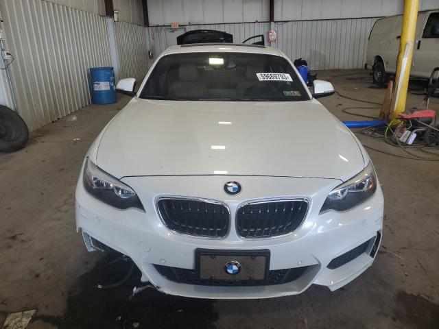 WBA1G9C5XGV726194 BMW 228 Xi Sulev