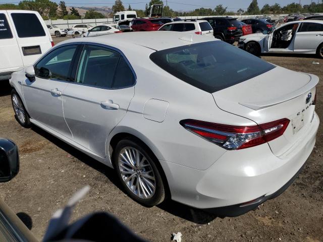 4T1F31AK9LU012695 Toyota CAMRY XLE
