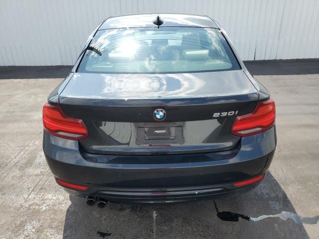 WBA2J1C08M7J29220 BMW 230I