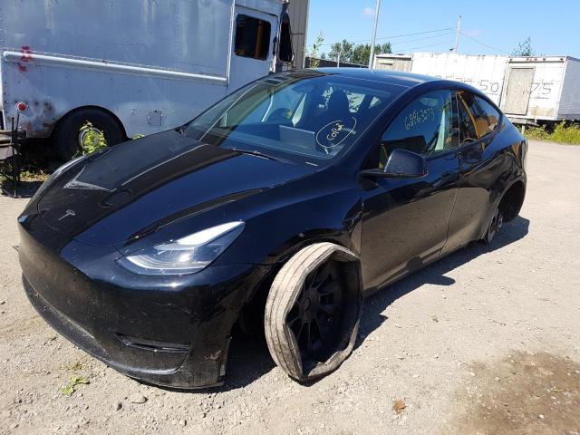 Продажа на аукционе авто 2023 Tesla Model Y, vin: 7SAYGDEEXPF693135, номер лота: 62463273