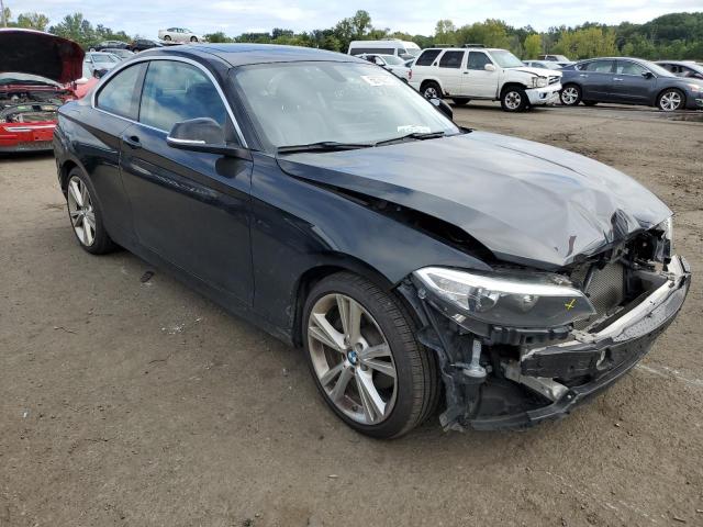 WBA1F7C5XFV367502 BMW 228 Xi