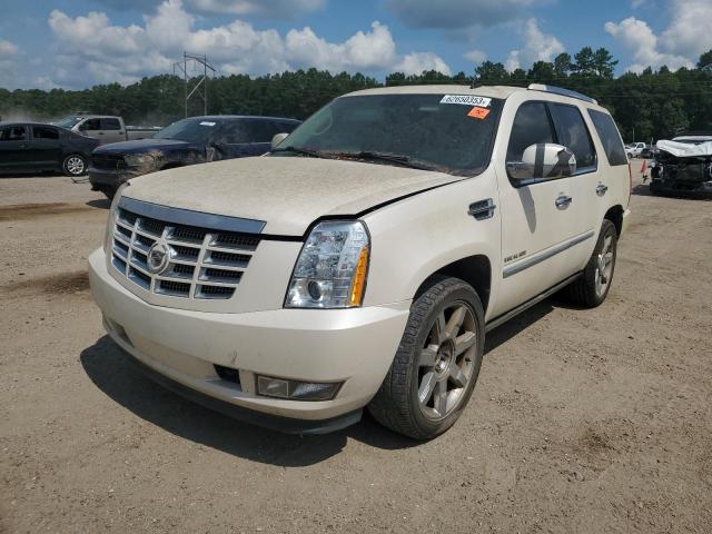 Auction sale of the 2010 Cadillac Escalade Premium, vin: 1GYUKCEF2AR200704, lot number: 41792864