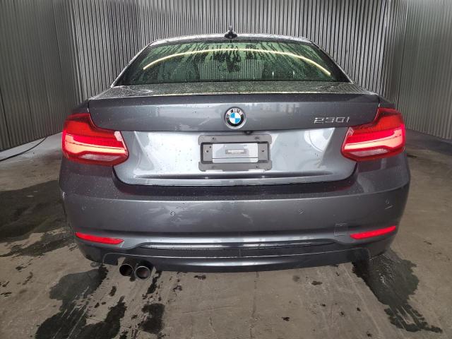 WBA2J1C02M7J25499 BMW 230I