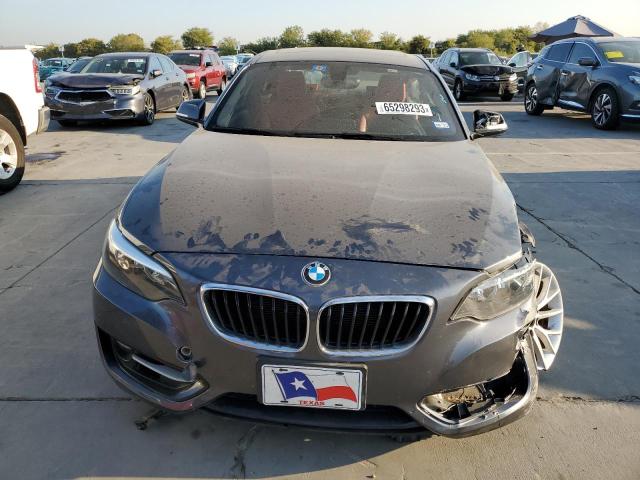 WBA1G9C54GV599538 BMW 228 Xi Sulev