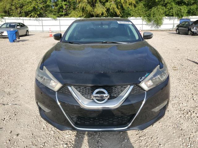 1N4AA6AP9HC390533 Nissan MAXIMA 3.5