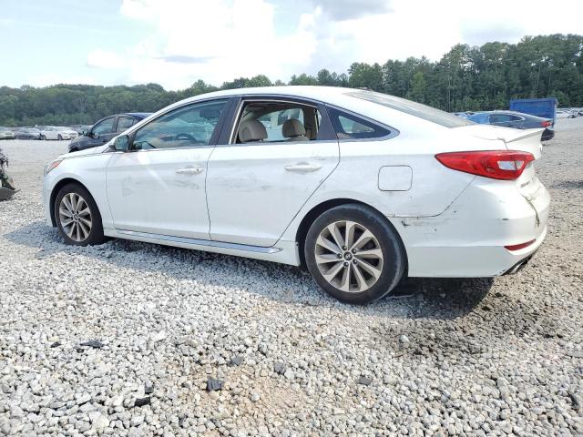 5NPE34AF0FH046639 Hyundai SONATA SPO