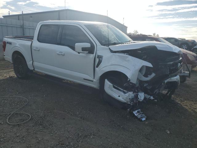 1FTFW1ED0PFB64656 Ford F150 SUPER