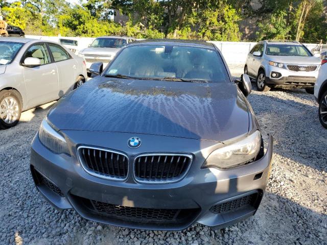 WBA1G9C55GV598656 BMW 228 Xi Sulev