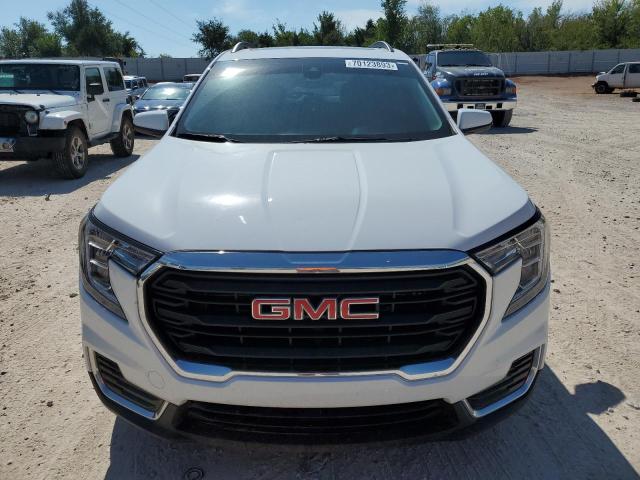 3GKALMEV2NL105998 GMC Terrain Sle