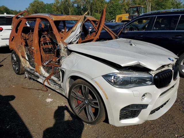 5YMKT6C54G0R77895 BMW X5 M